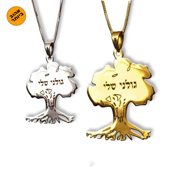 שרשרת גולני - גולני שלי 14 קראט - שרשרת שם ישראל