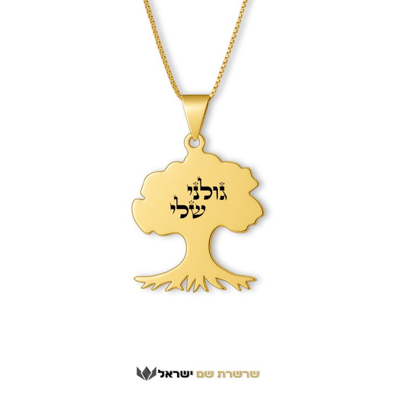 שרשרת גולני - גולני שלי זהב 14K - שרשרת שם ישראל