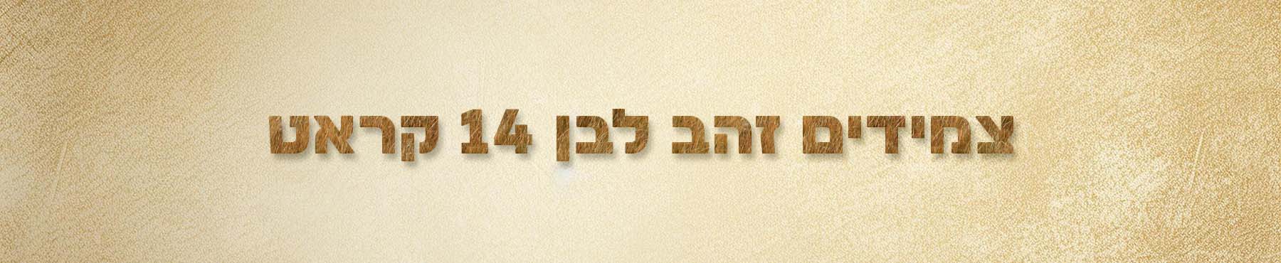 צמידים זהב לבן 14K