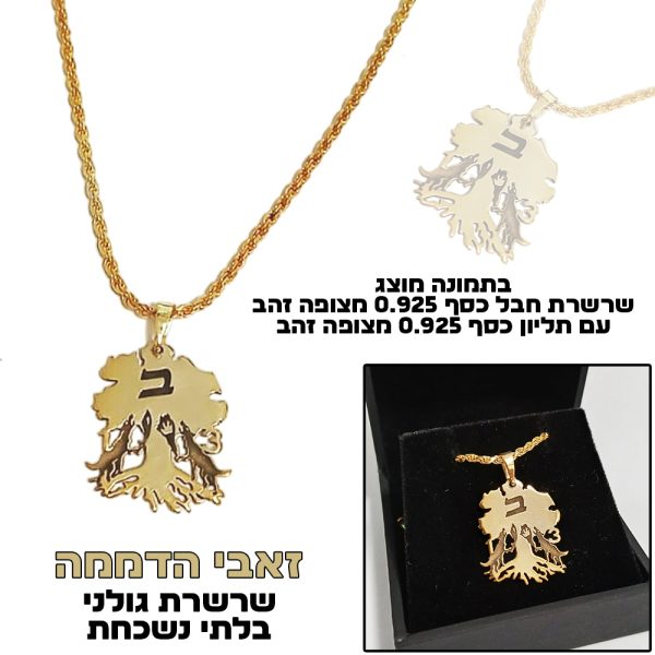 שרשרת גולני גדוד 13 זאבי הדממה - שרשרת שם ישראל