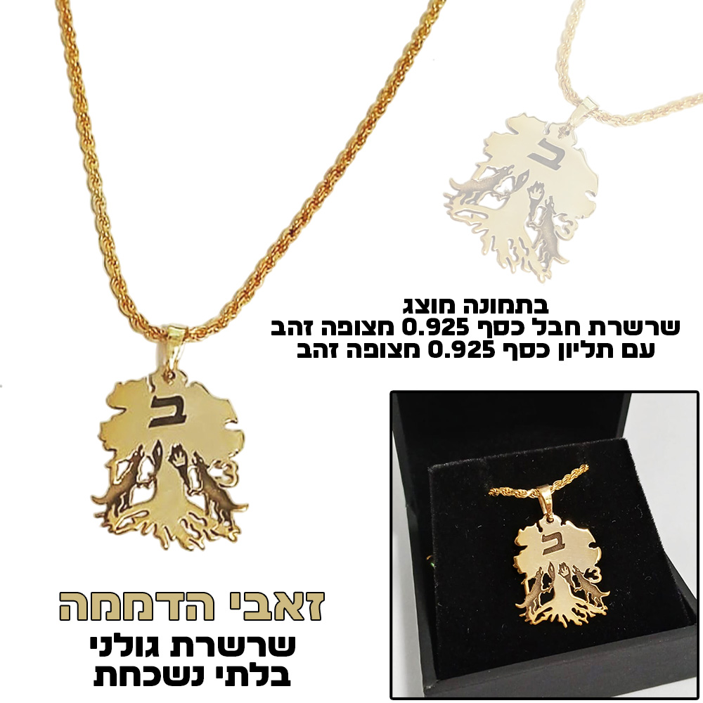 שרשרת גולני גדוד 13 זאבי הדממה - שרשרת שם ישראל