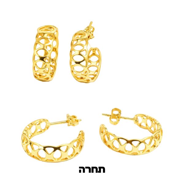 זוג עגילים תחרה ציפוי זהב 14 קראט